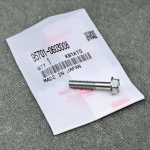 95701-0603008 OEM śruba napinacza łańcucha rozrządu K20, K20A2, K20Z4, K24A3, K24Z4 6x30